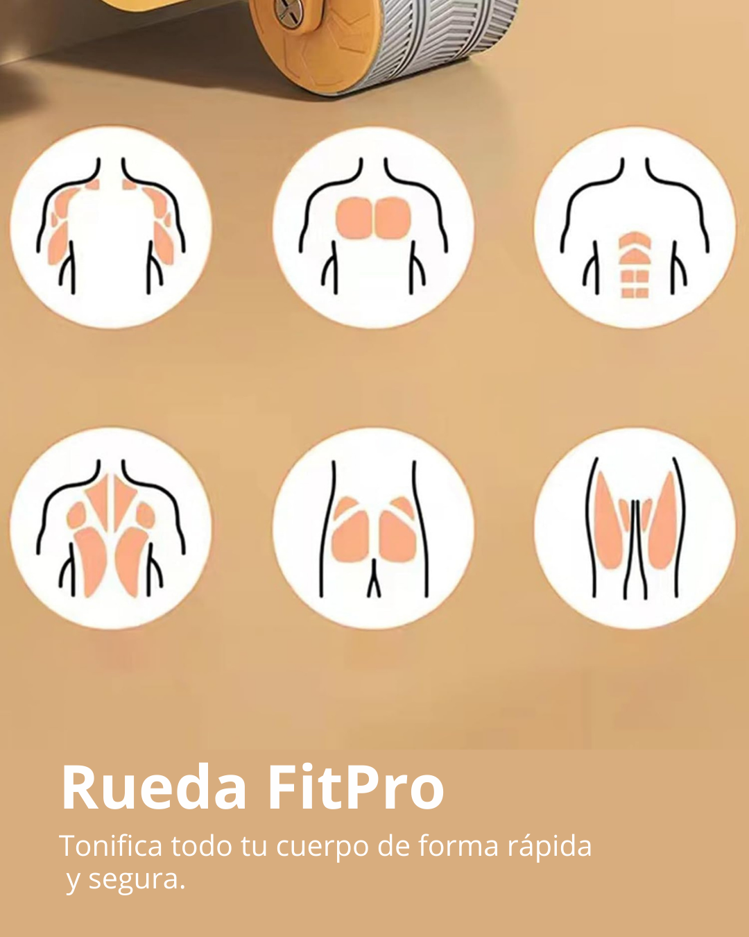 Rueda FitPro